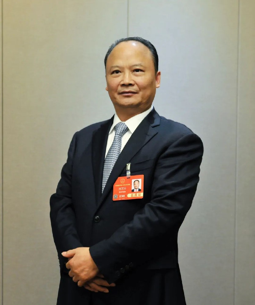 全国人大代表刘汉元：建议扩大国内光伏装机，推进 “3060” 目标达成